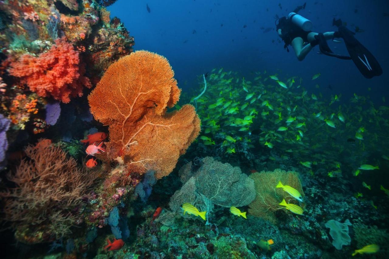 Aquzz Hotel & Spa - Maldives Maafushi Eksteriør billede